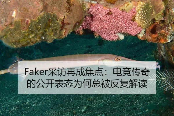 Faker采访再成焦点：电竞传奇的公开表态为何总被反复解读